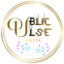public pulse media